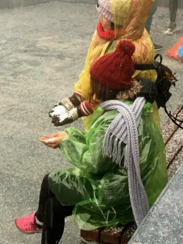 Bất ngờ xuất hiện mưa băng tại đỉnh Fansipan Sa Pa