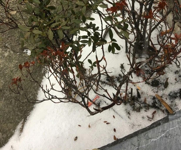 Bất ngờ xuất hiện mưa băng tại đỉnh Fansipan Sa Pa