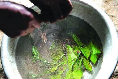 Tắm bằng than nóng có thể giao tiếp được với người đã chết?