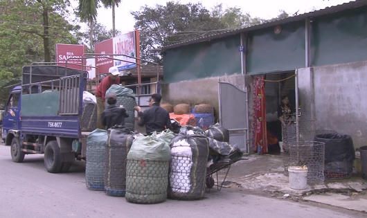 Rùng mình cơ sở sản xuất giá đỗ “siêu tốc” bằng hóa chất