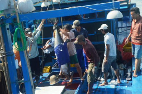 Những ngư dân nặng lòng với biển