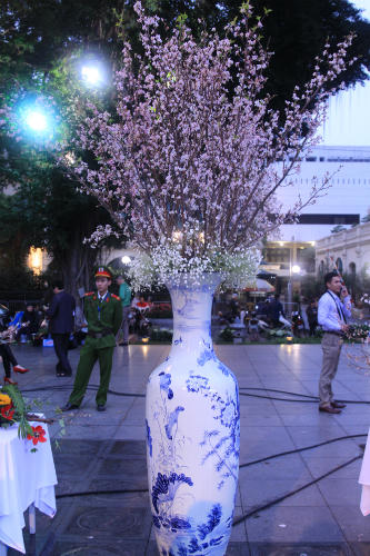 12.000 cành hoa anh đào đã về tới Hà Nội