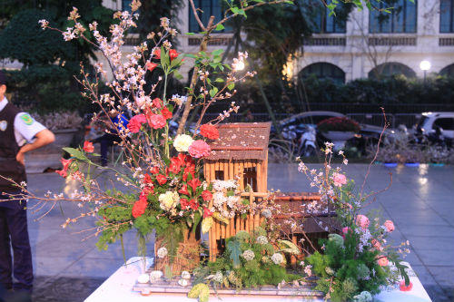 12.000 cành hoa anh đào đã về tới Hà Nội