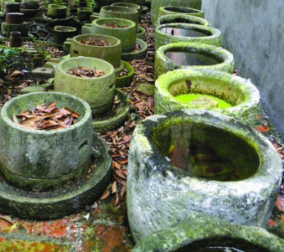 Bảo tàng văn hóa trong chùa