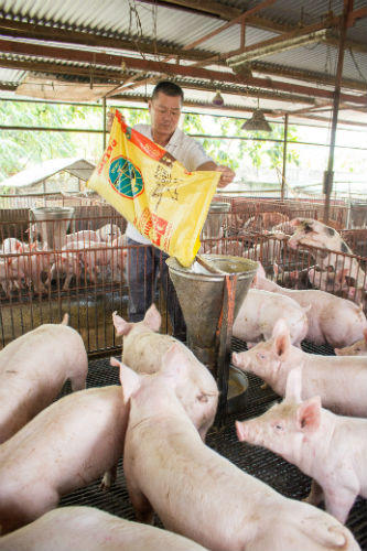 KKR đầu tư 250 triệu USD vào Tập đoàn Masan