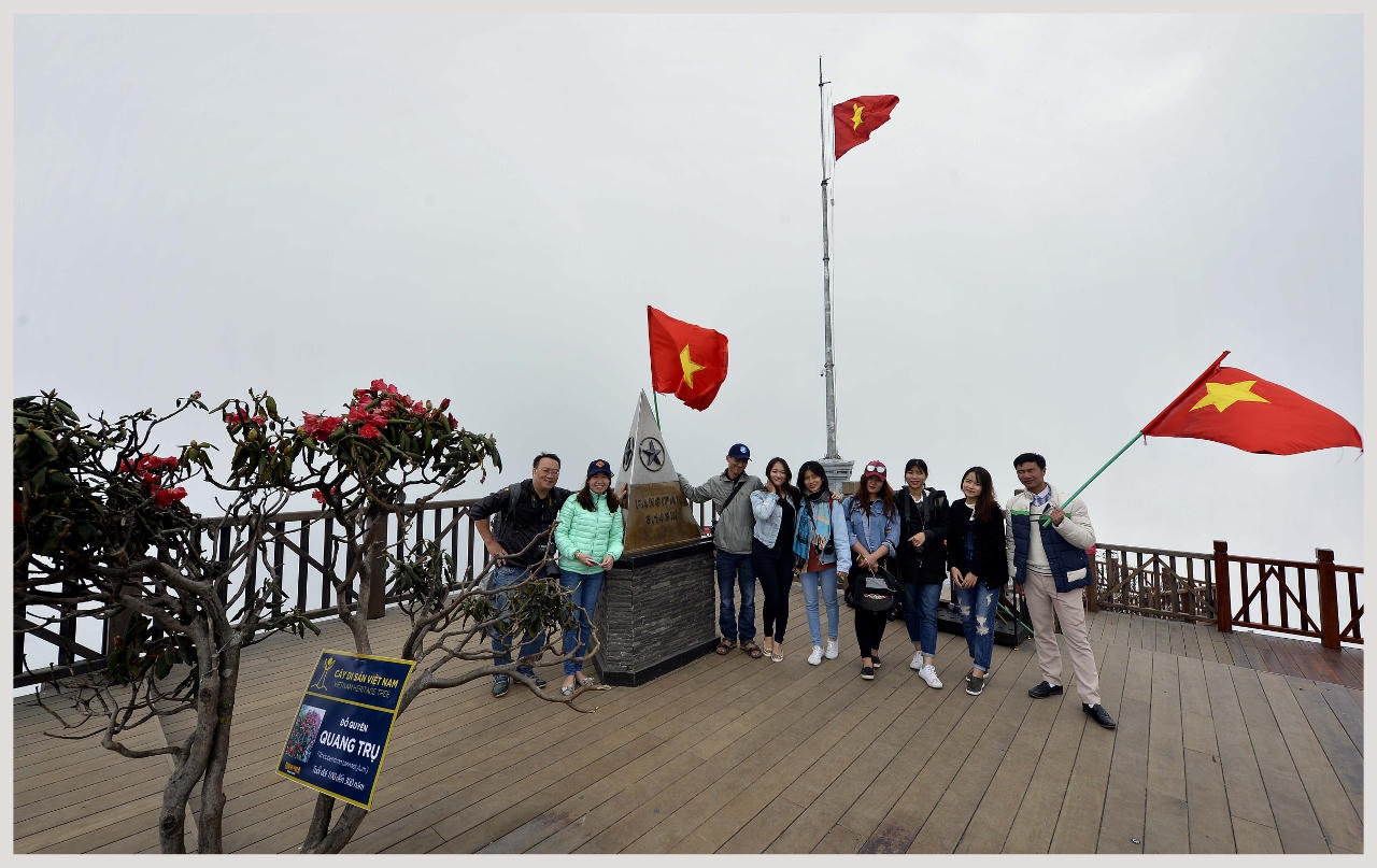 Chiêm ngưỡng hàng ngàn cây đỗ quyên tại Fansipan Legend