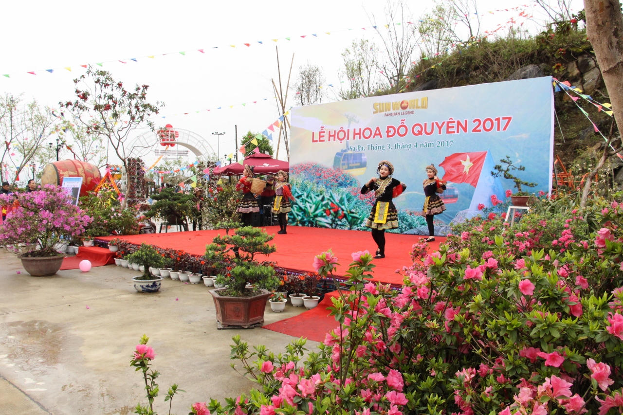 Chiêm ngưỡng hàng ngàn cây đỗ quyên tại Fansipan Legend