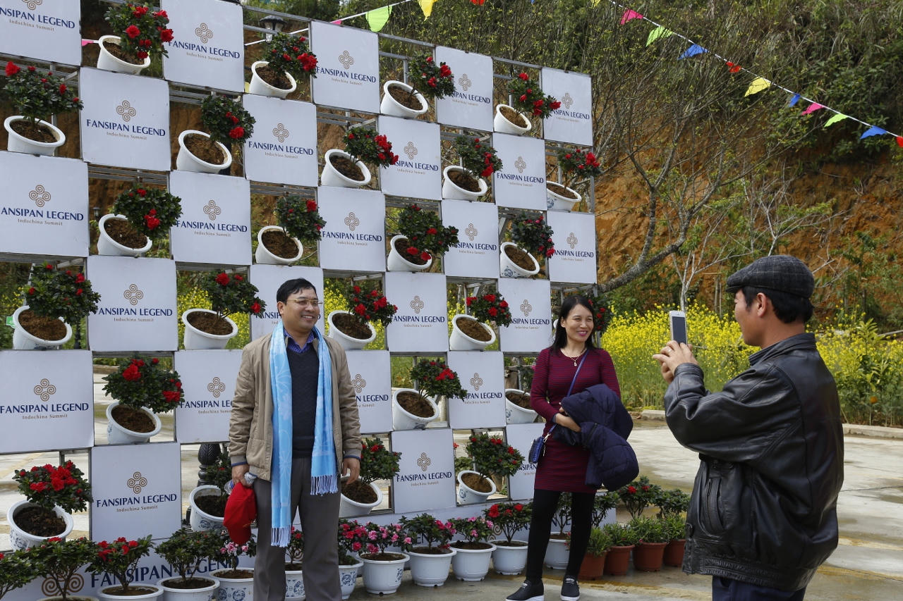 Chiêm ngưỡng hàng ngàn cây đỗ quyên tại Fansipan Legend