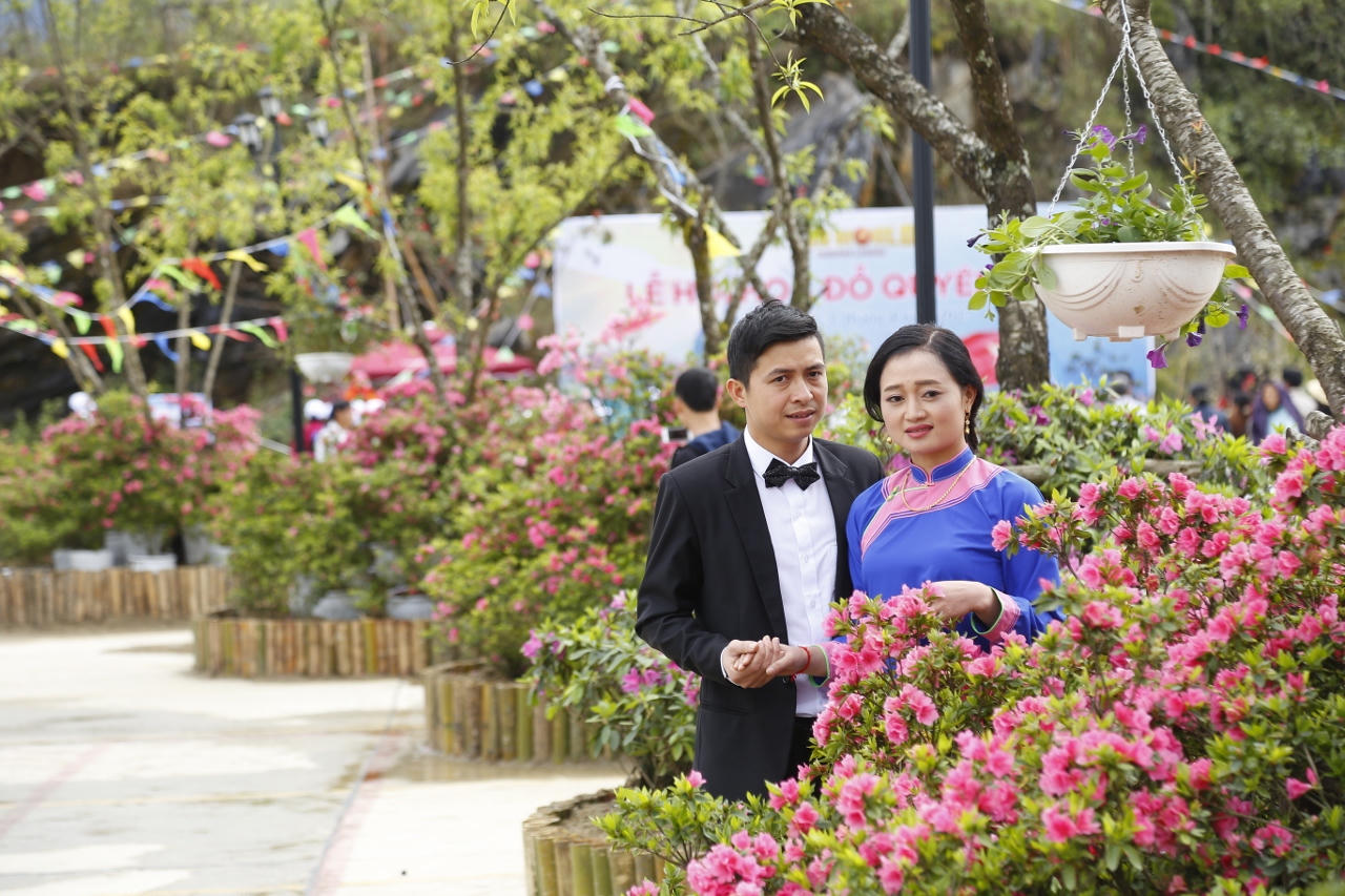 Chiêm ngưỡng hàng ngàn cây đỗ quyên tại Fansipan Legend