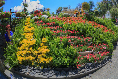 Vũ điệu hoa ở Sun World Ba Na Hills