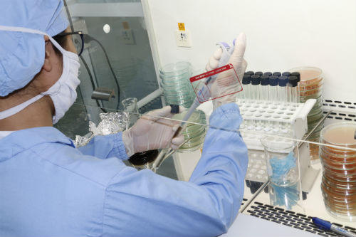 “Đi trước, đón đầu - chìa khóa của thành công!”