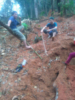 Đá xanh, gỗ quý khiến rừng thiêng chảy 'máu'