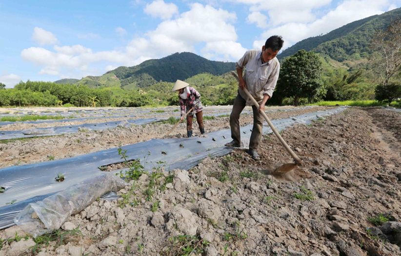 “Cú hích” tín dụng chính sách nơi đất võ Bình Định