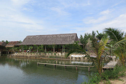 Bảy Mẫu (Hội An): Làm du lịch chụp giật, 'băm nát' rừng dừa nước