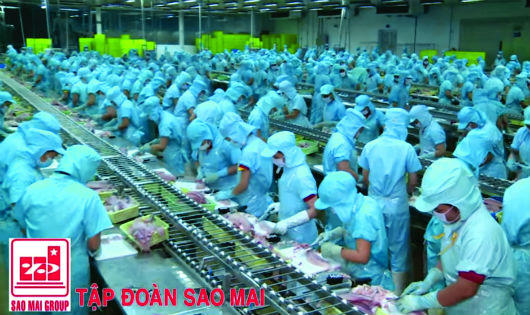 Năm 2016, doanh thu của IDI cán mốc hơn 4.000 tỷ đồng