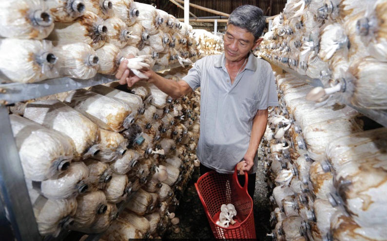 Tín dụng chính sách ở Bình Dương