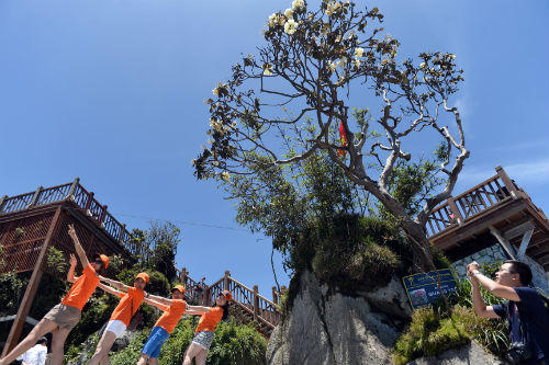 Người dân Lào Cai được giảm giá vé cáp treo Fansipan Legend