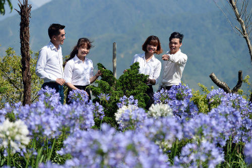 Người dân Lào Cai được giảm giá vé cáp treo Fansipan Legend