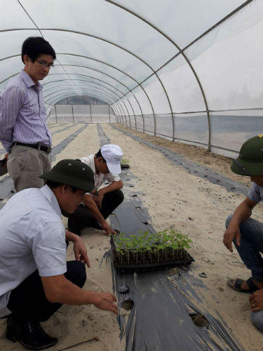 Nông nghiệp công nghệ cao ở Quảng Bình: Tín hiệu vui từ mô hình điểm ở huyện Lệ Thủy