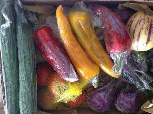 Chàng kỹ sư với những sản phẩm nông nghiệp “lạ”,“độc”