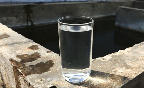 Cty TNHH Long Hải: Phát triển sản xuất gắn với bảo vệ môi trường