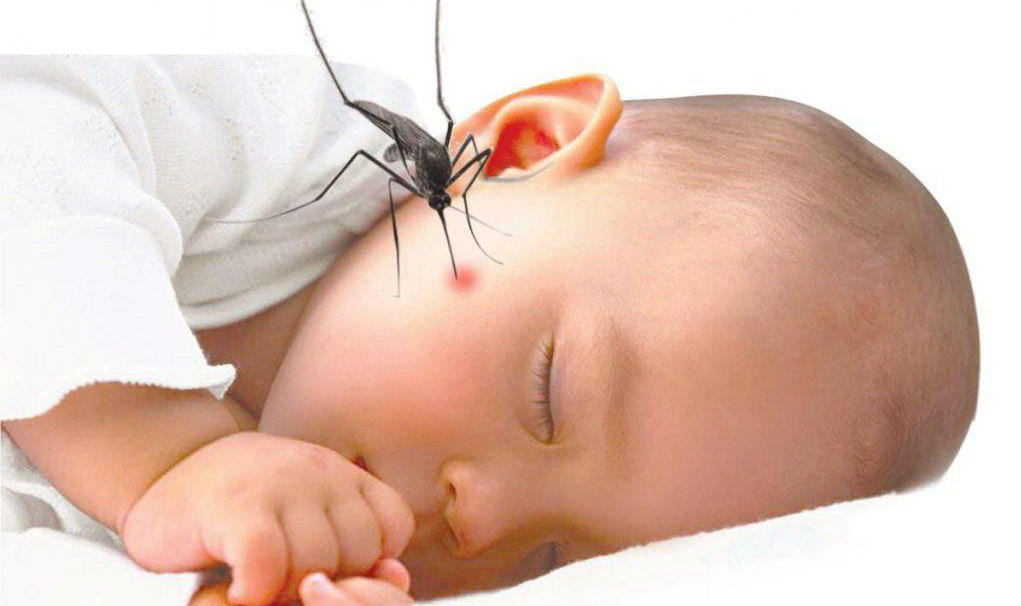 Dịch vụ lấy mẫu xét nghiệm tại nhà “nóng” cùng mùa dịch sốt xuất huyết