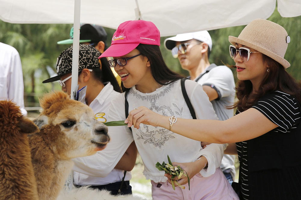Lịch trình 3 ngày đến Quy Nhơn ngắm cảnh, ăn ngon và chơi sang