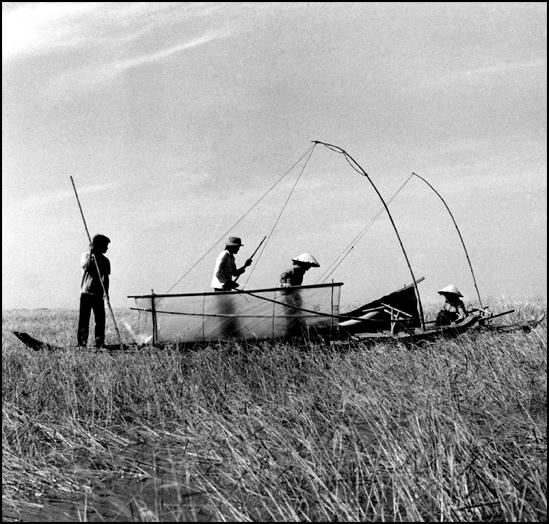 Lâm Tấn Tài - Một sự nghiệp nhiếp ảnh đáng được tôn vinh