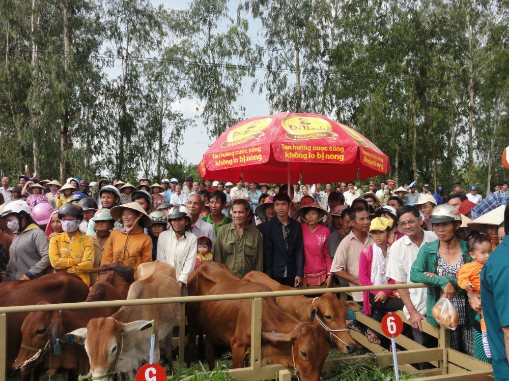 Tân Hiệp Phát đồng hành cùng chương trình giao lưu nghệ thuật “Bản hùng ca bất tử"
