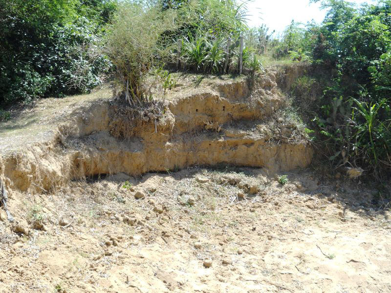 Thị xã An Nhơn (Bình Định): Đê hư hỏng uy hiếp cuộc sống người dân