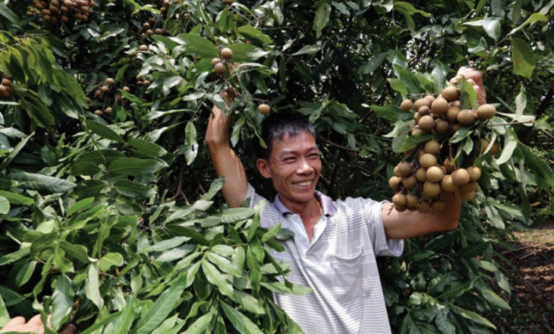 Vốn chính sách ở nông thôn Văn Lâm