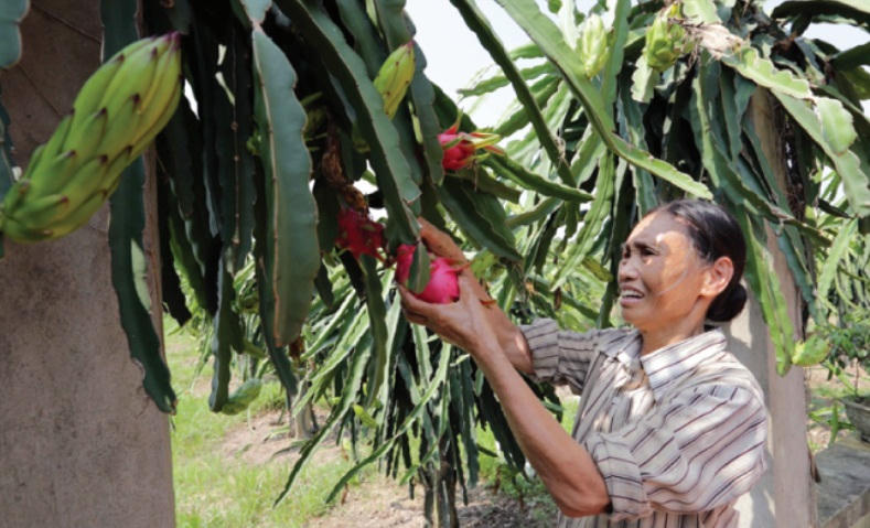 Vốn chính sách ở nông thôn Văn Lâm