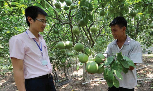 Vốn chính sách ở nông thôn Văn Lâm