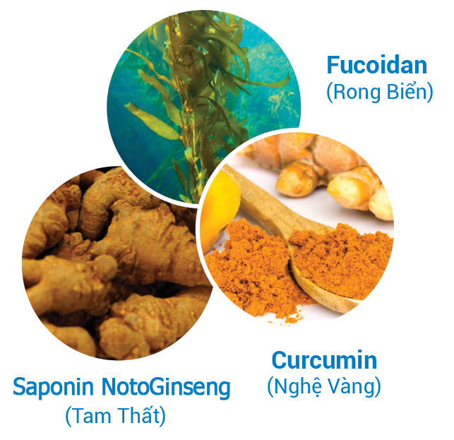 Curcumin, Fucoidan, Tam thất cho bệnh nhân ung thư: Dùng sao cho hiệu quả