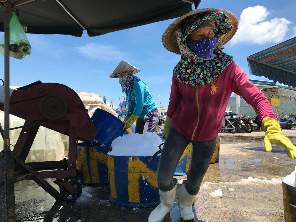 Phận đời mưu sinh nơi cảng cá 