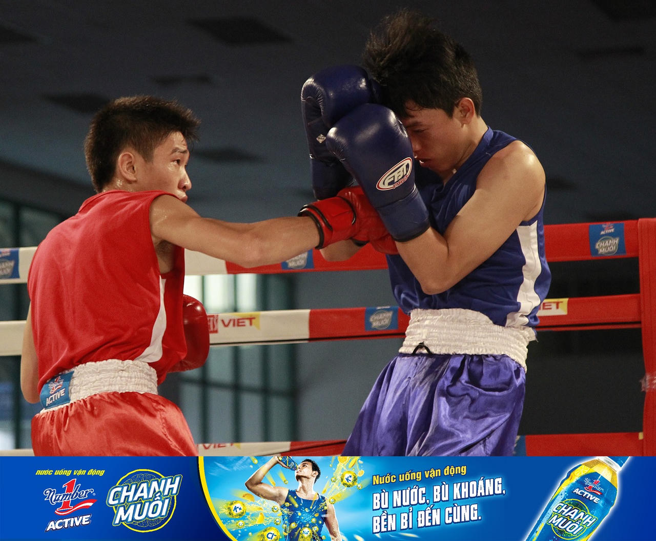 Sôi nổi các trận đấu quyền anh tranh đai vô địch Number 1