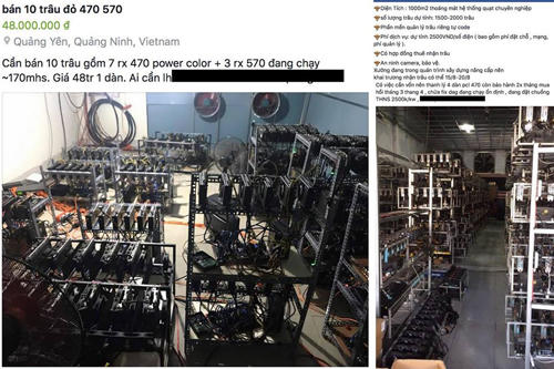 Cơn sốt nhập 'trâu cày' Bitcoin