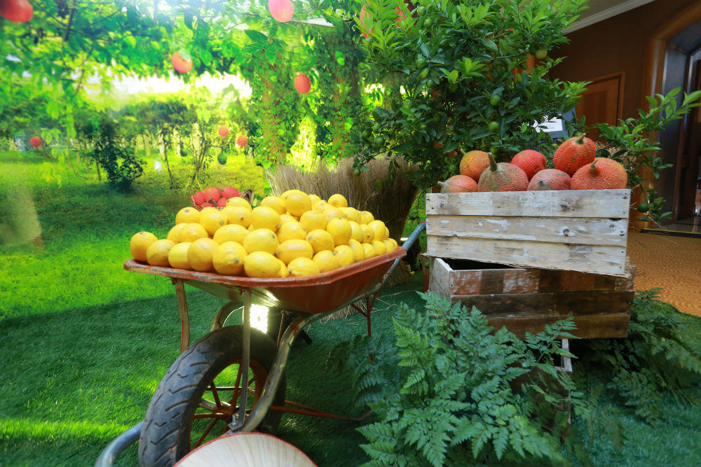 Bà Thái Hương và những nỗ lực không mệt mỏi vì sức khỏe người tiêu dùng 