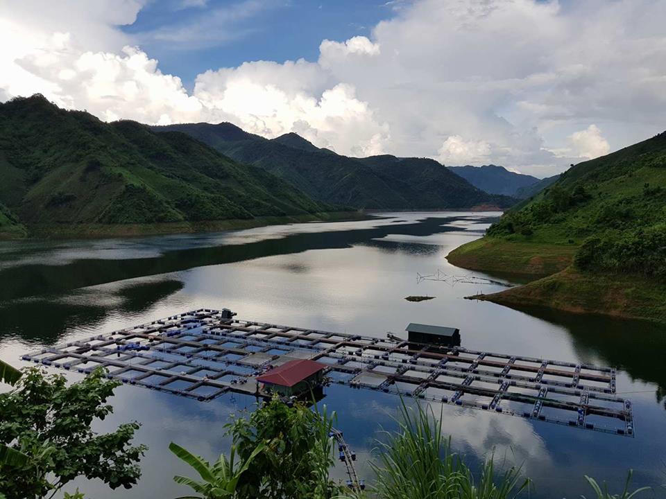 Người nuôi cá bằng “cái tâm”