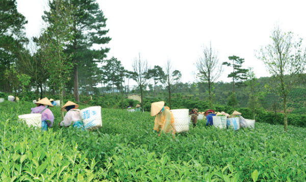 VietinBank - Động lực giảm nghèo bền vững