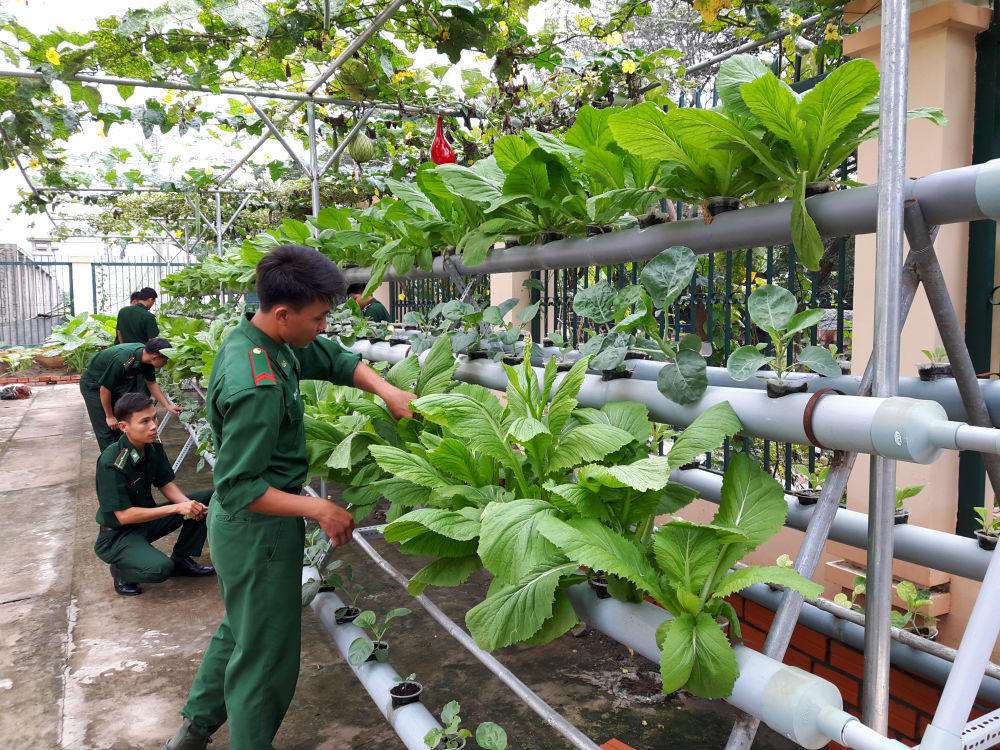 Bộ đội Biên phòng tỉnh An Giang: “Lá cờ đầu” trong công tác quân nhu