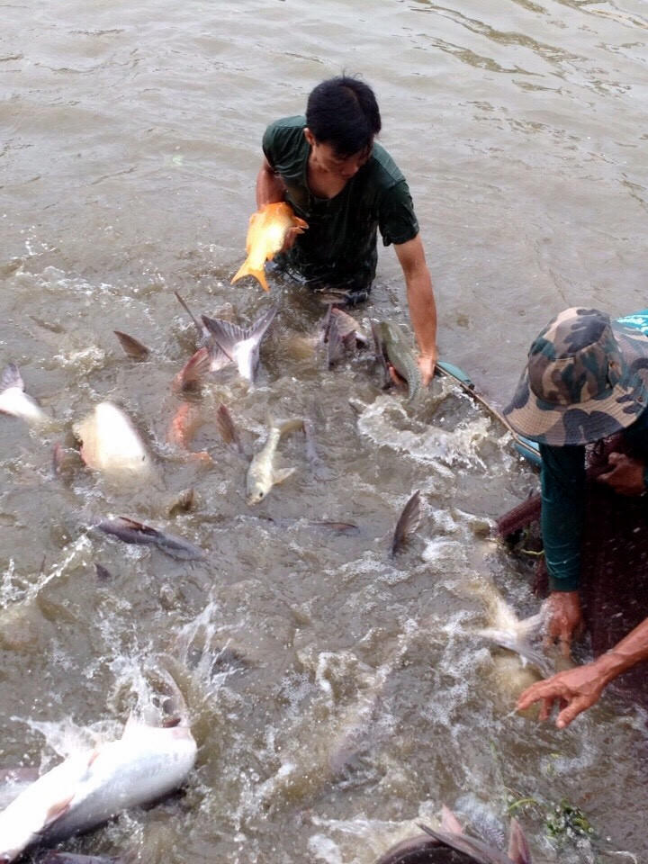 Bộ đội Biên phòng tỉnh An Giang: “Lá cờ đầu” trong công tác quân nhu