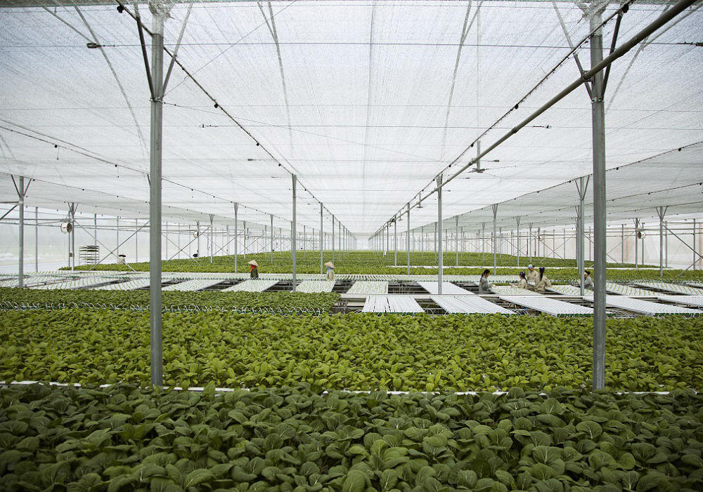 2 năm "Hành trình sạch - Tương lai xanh" của VinEco