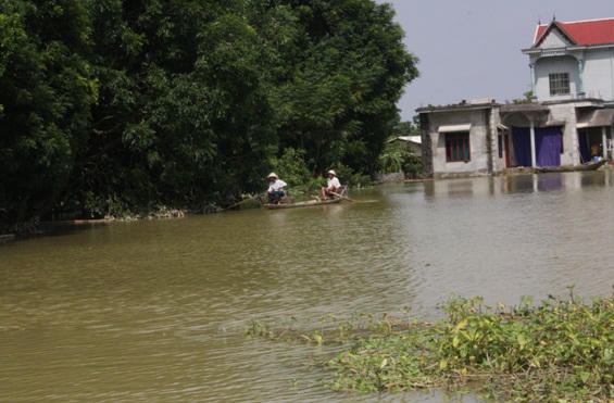 Cận cảnh cuộc sống ngập trong nước của người dân Chương Mỹ sau vỡ đê