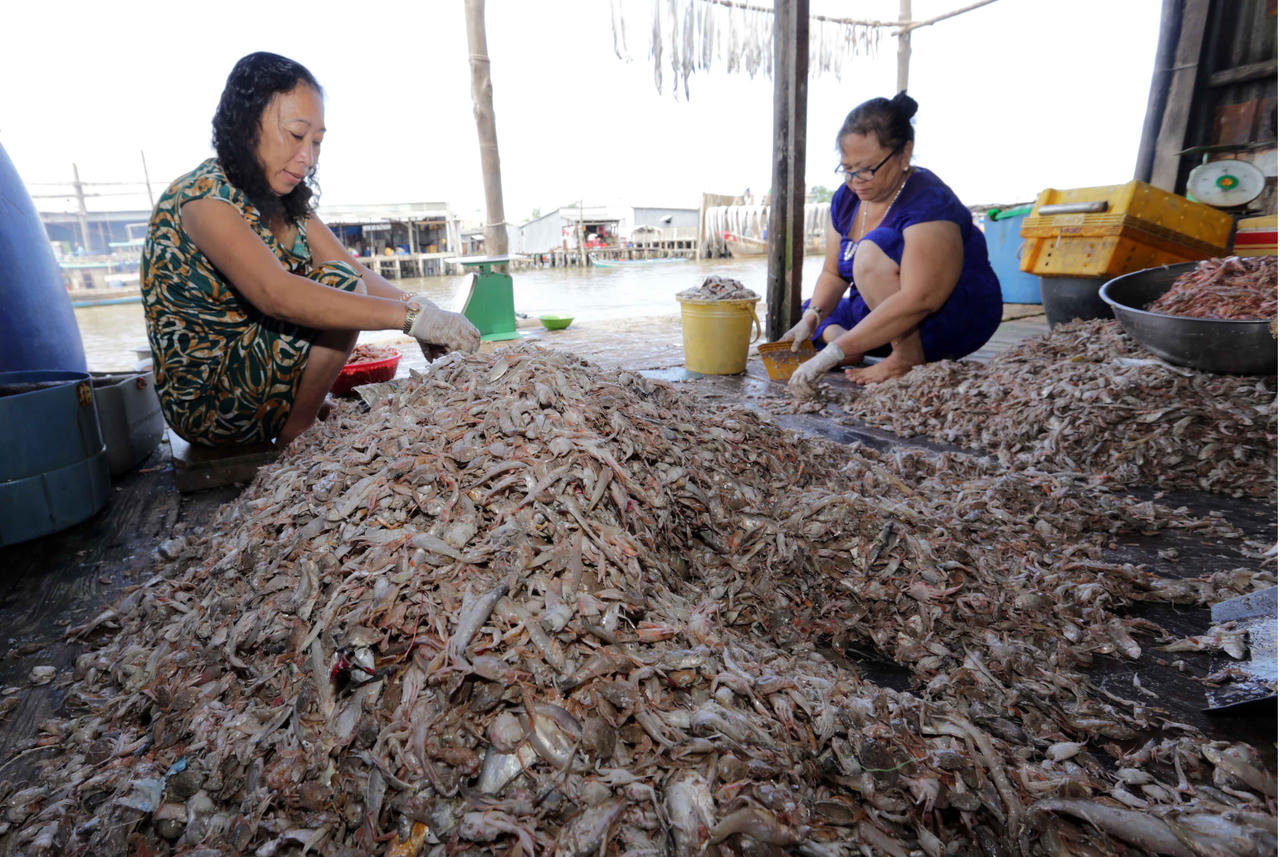 Đồng vốn chính sách ở ven biển cực Nam của Tổ quốc