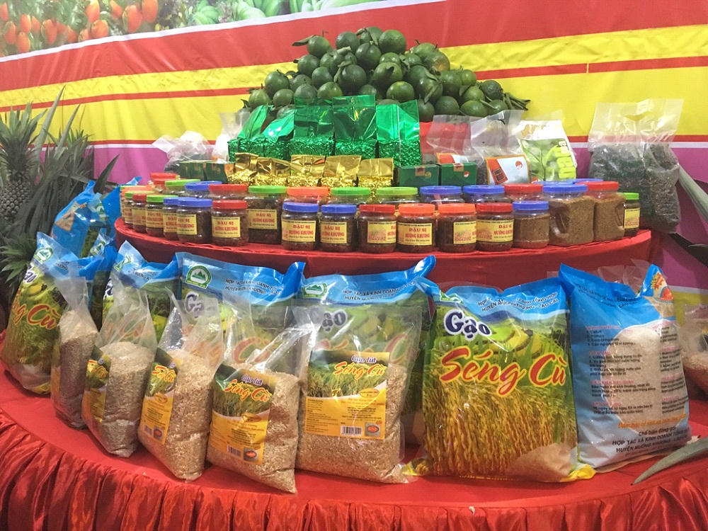 Khai mạc Liên hoan ẩm thực Tây Bắc 2017