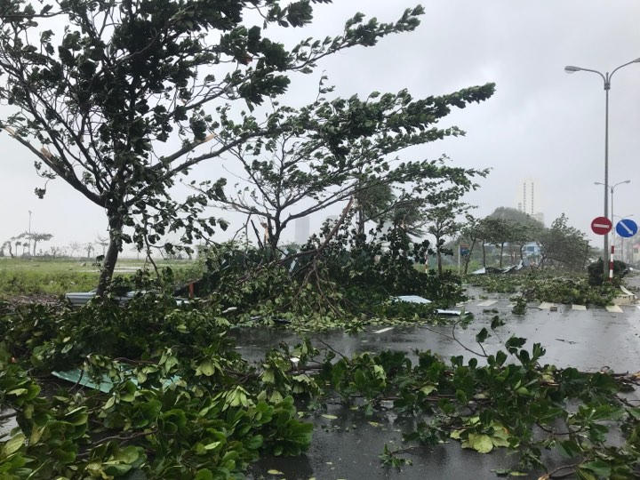 Phó Thủ tướng thị sát, chỉ đạo khắc phục hậu quả bão số 12