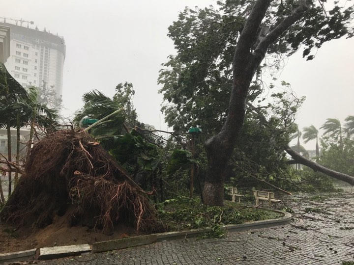 Phó Thủ tướng thị sát, chỉ đạo khắc phục hậu quả bão số 12