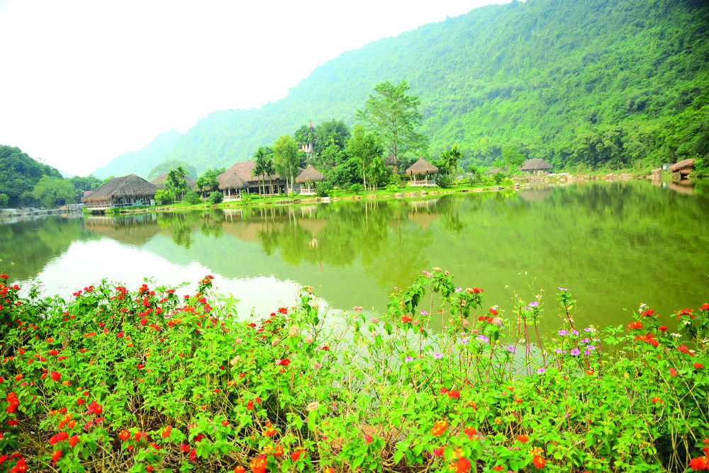 Kỳ thú báu vật Thung Nham: Đại gia bỏ hàng chục tỷ đồng không mua nổi