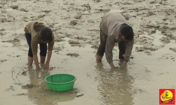 Những mảnh đời bất hạnh ở vùng quê nghèo Quốc Oai